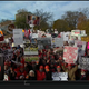 Illustration for article titled Deez Nuts: Your Ohio State iCollege GameDay/i Sign Roundup
